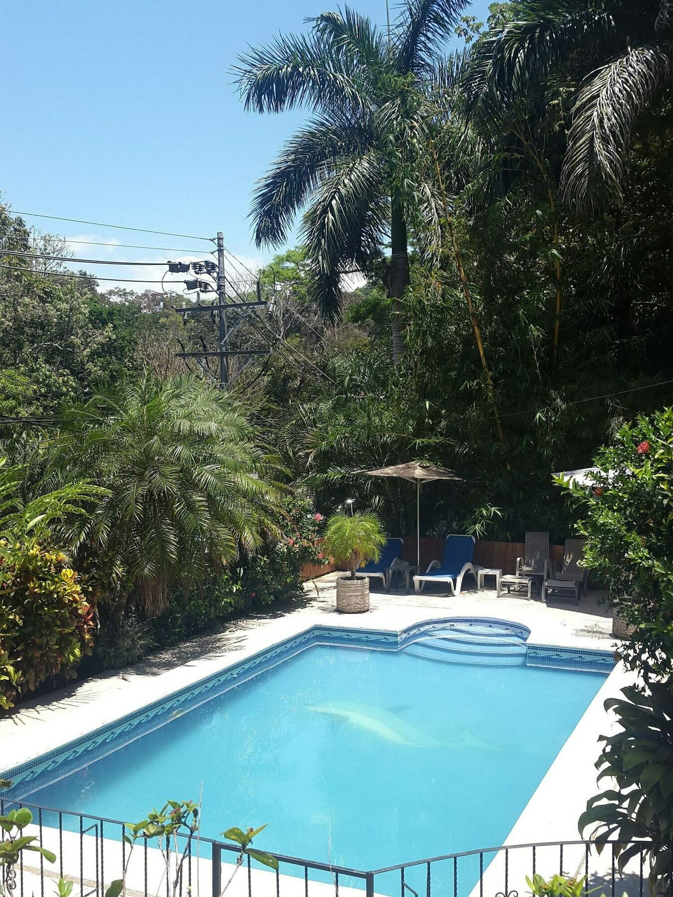 Hotel Colibri Manuel Antonio Kültér fotó